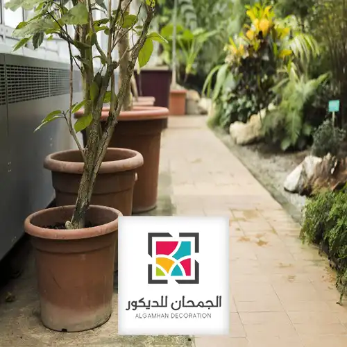 تنسيق حدائق رخيص الرياض